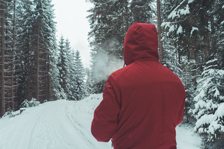 Person in red hoodie walks through a scenic, snowy forest trail in winter.