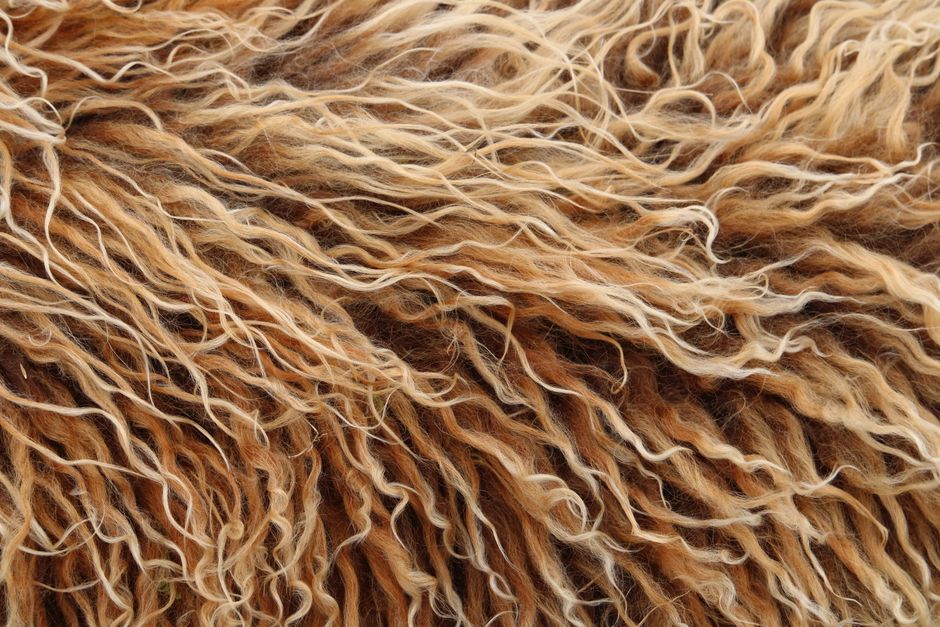 Detailed macro shot showcasing the texture and color of tangled wool fibers.