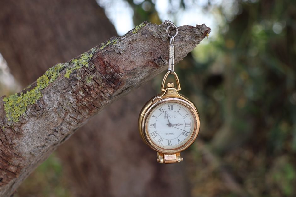 An artistic composition of a vintage pocket watch hanging from a tree branch, captured in El Puerto de Santa María.
