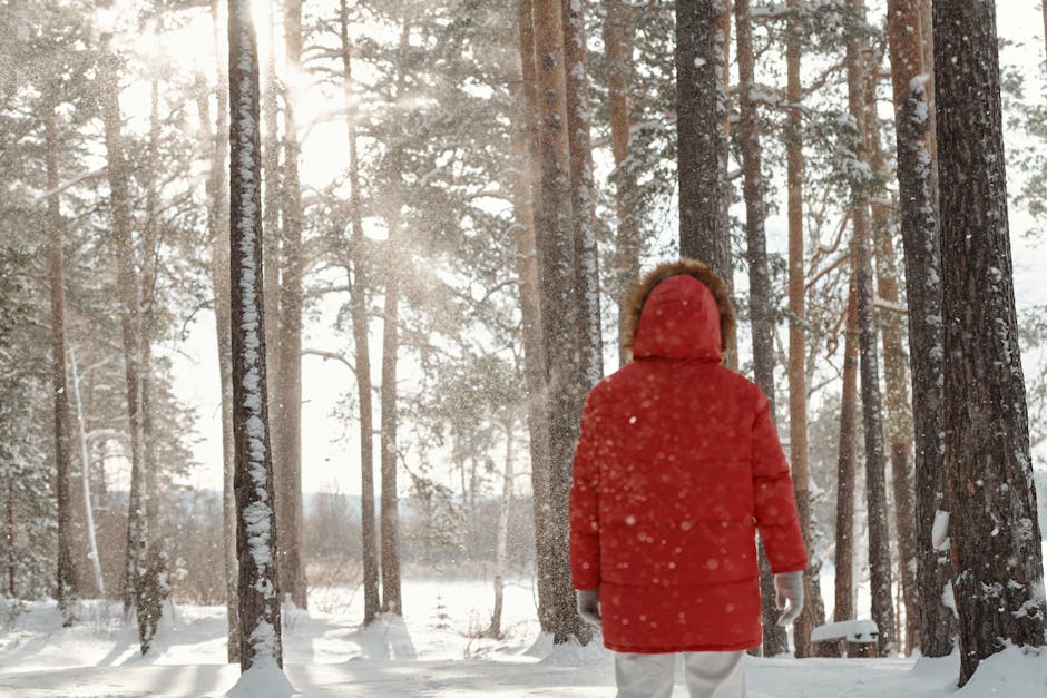 Person in red coat explores a snow-covered forest, embracing the serene winter atmosphere.